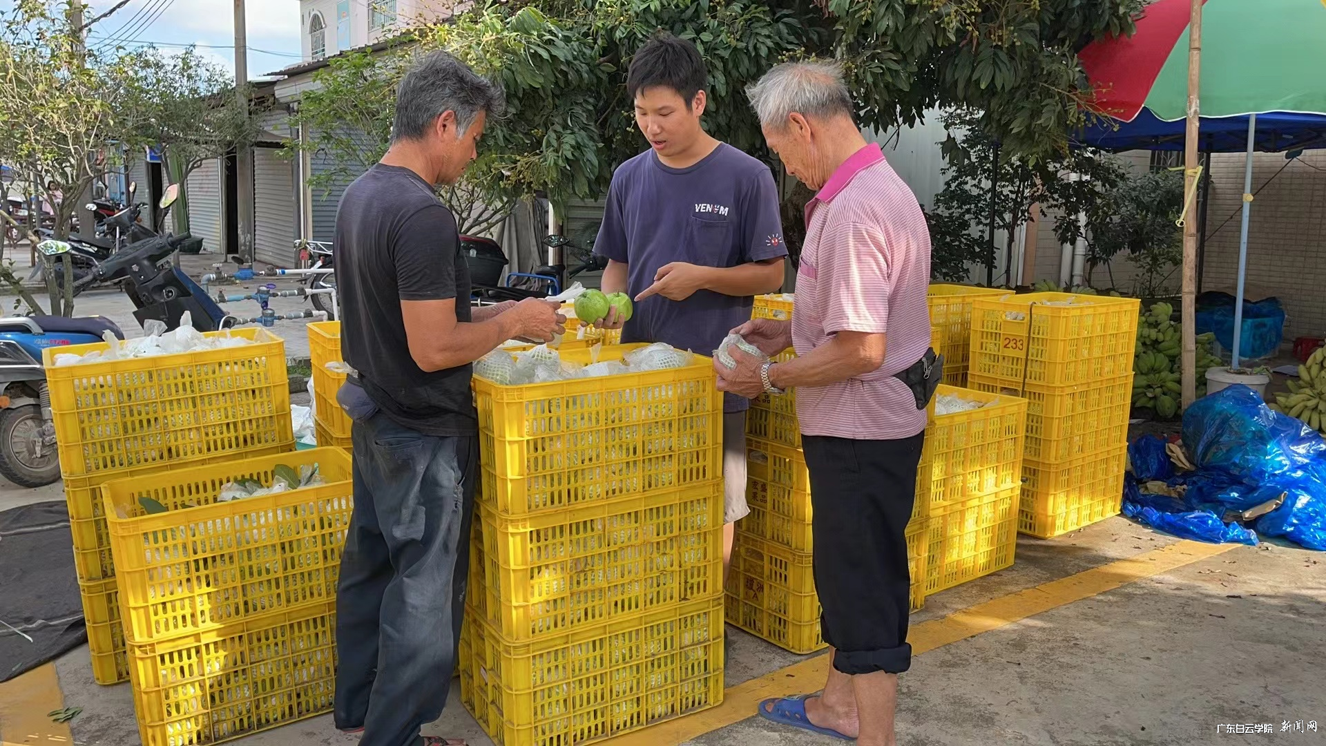 图片 3.png 图片 3.png