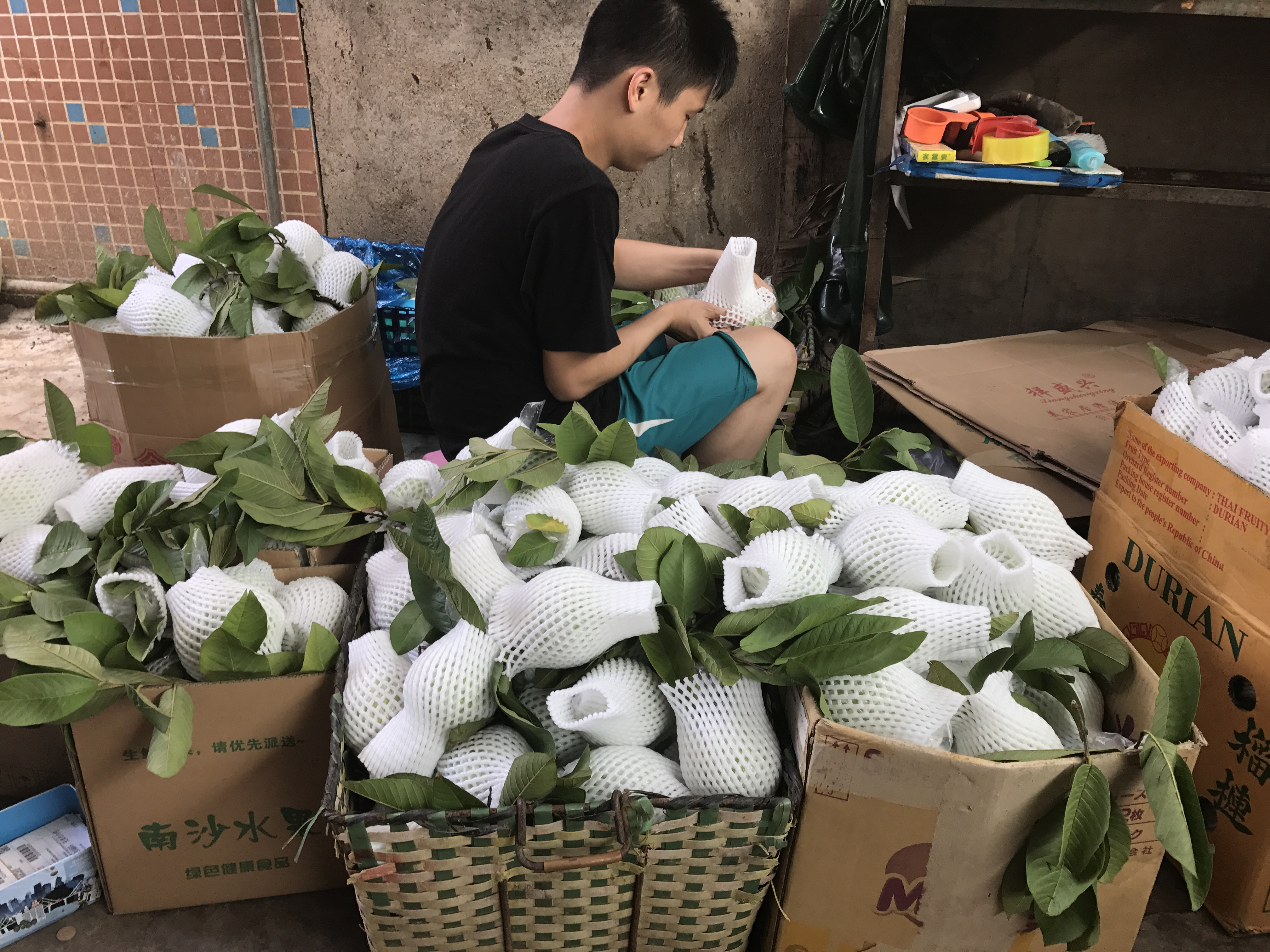 图片 5.png 图片 5.png