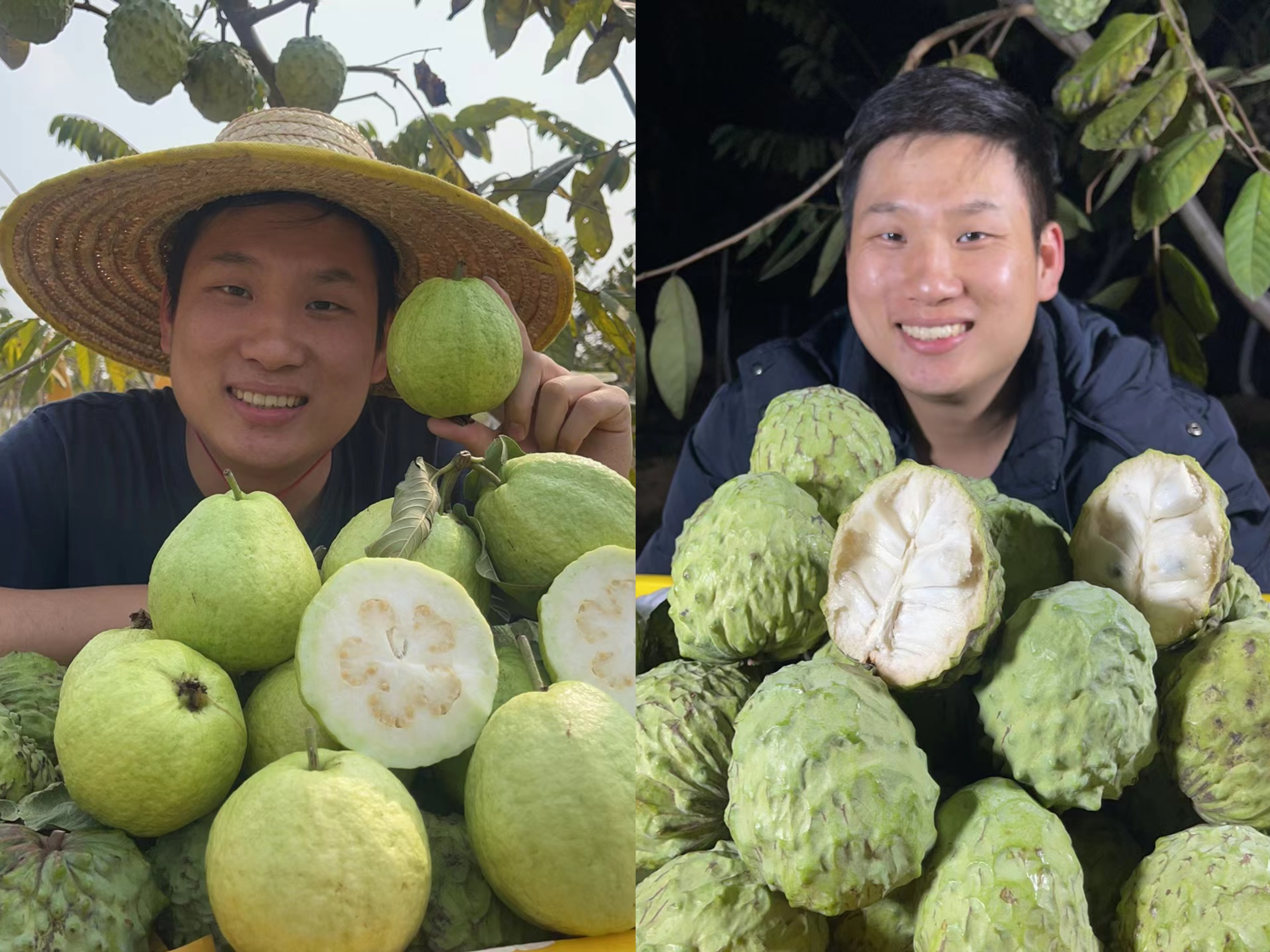 图片 4.png 图片 4.png