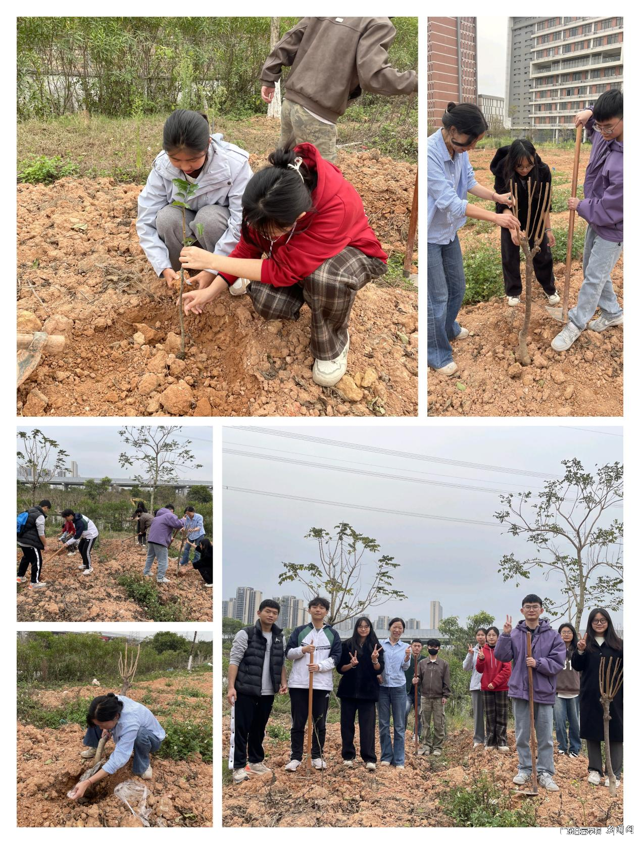 图片 2.png 图片 2.png