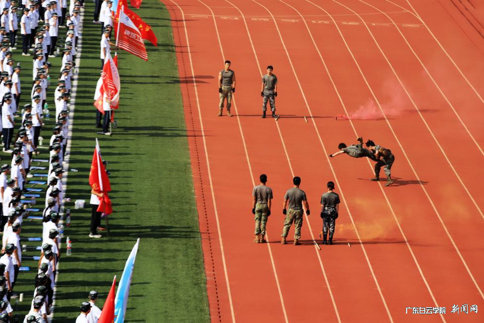 图片11.png 图片11.png