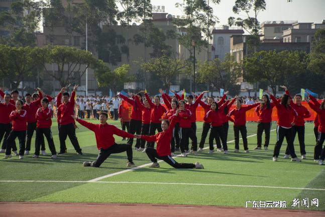 图片 13.png 图片 13.png