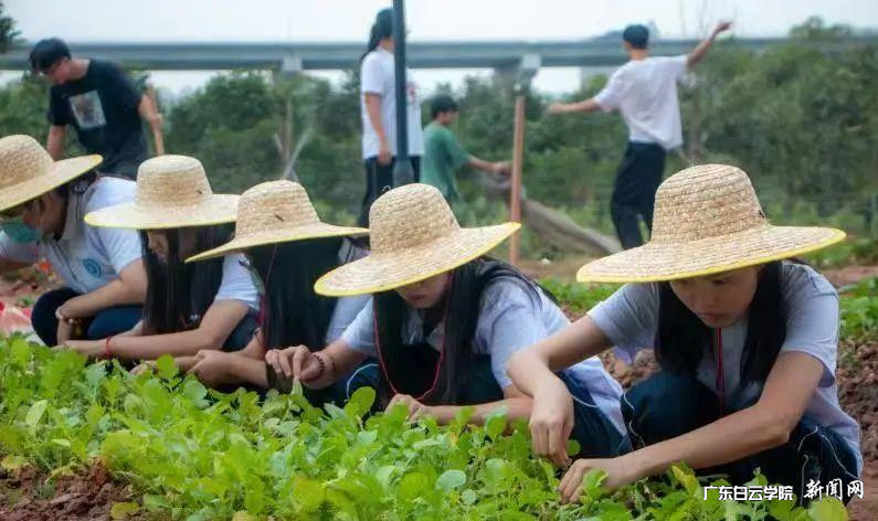 图片 1.png 图片 1.png