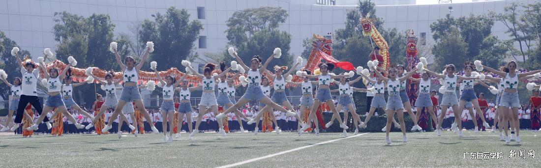 图片 17.png 图片 17.png