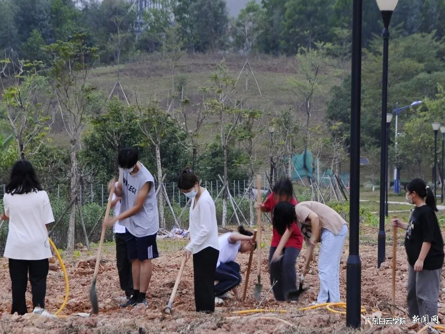 图片 3.png 图片 3.png