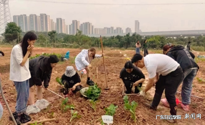 图片 3.png 图片 3.png