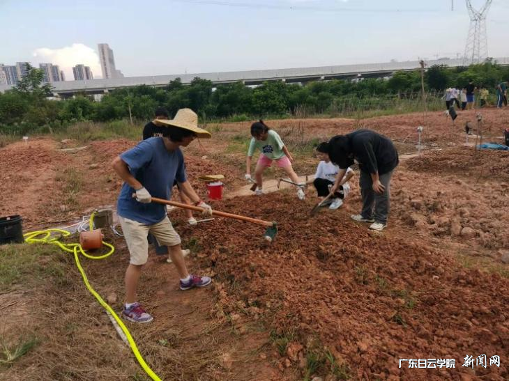 图片 1.png 图片 1.png