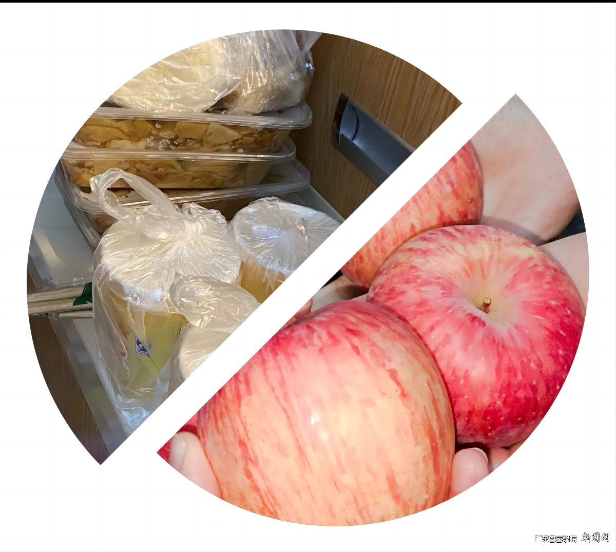 1图片3.png 1图片3.png