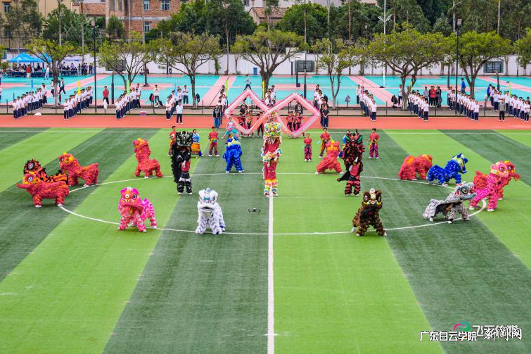 图片 13.png 图片 13.png