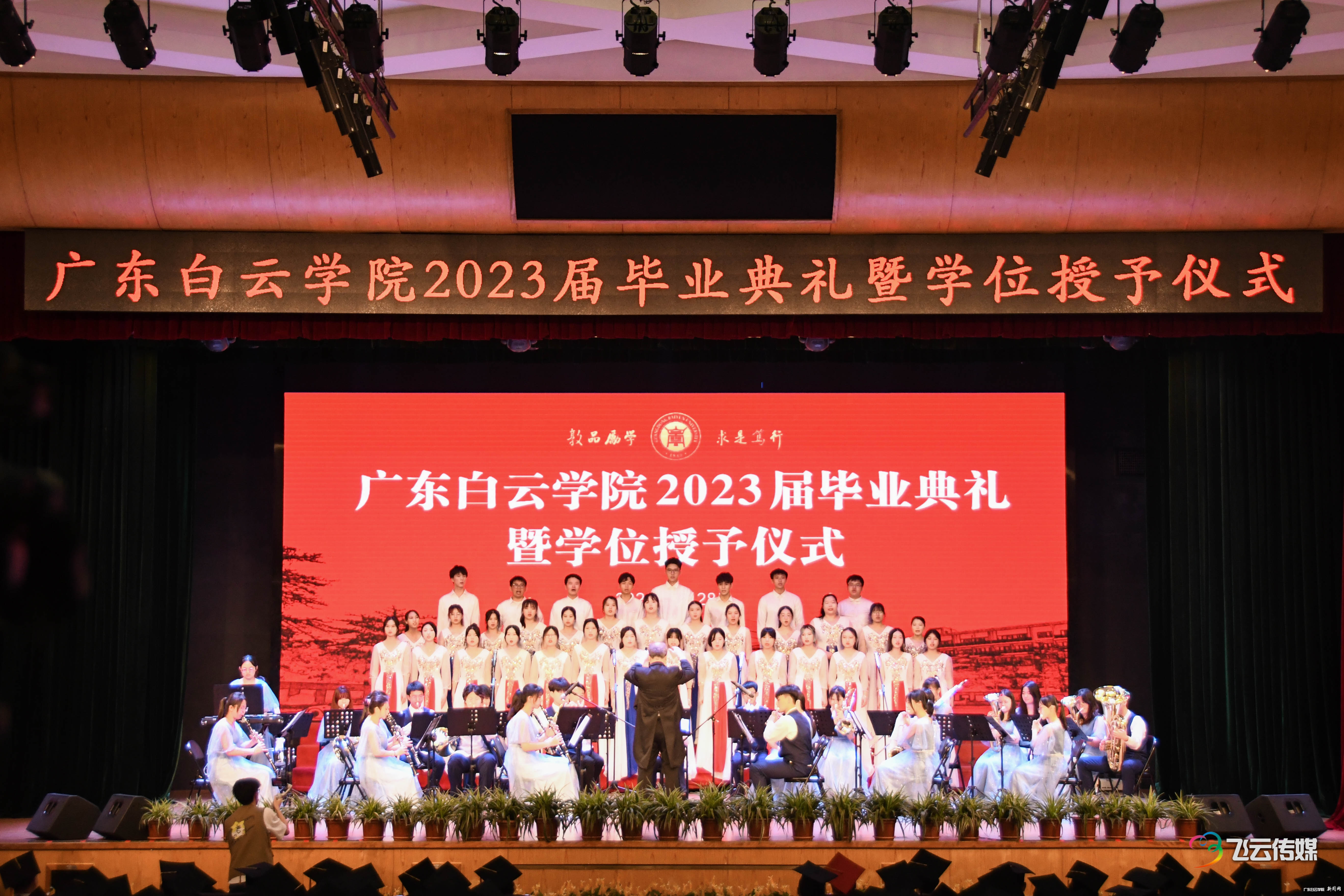 DSC_7259.jpg DSC_7259.jpg