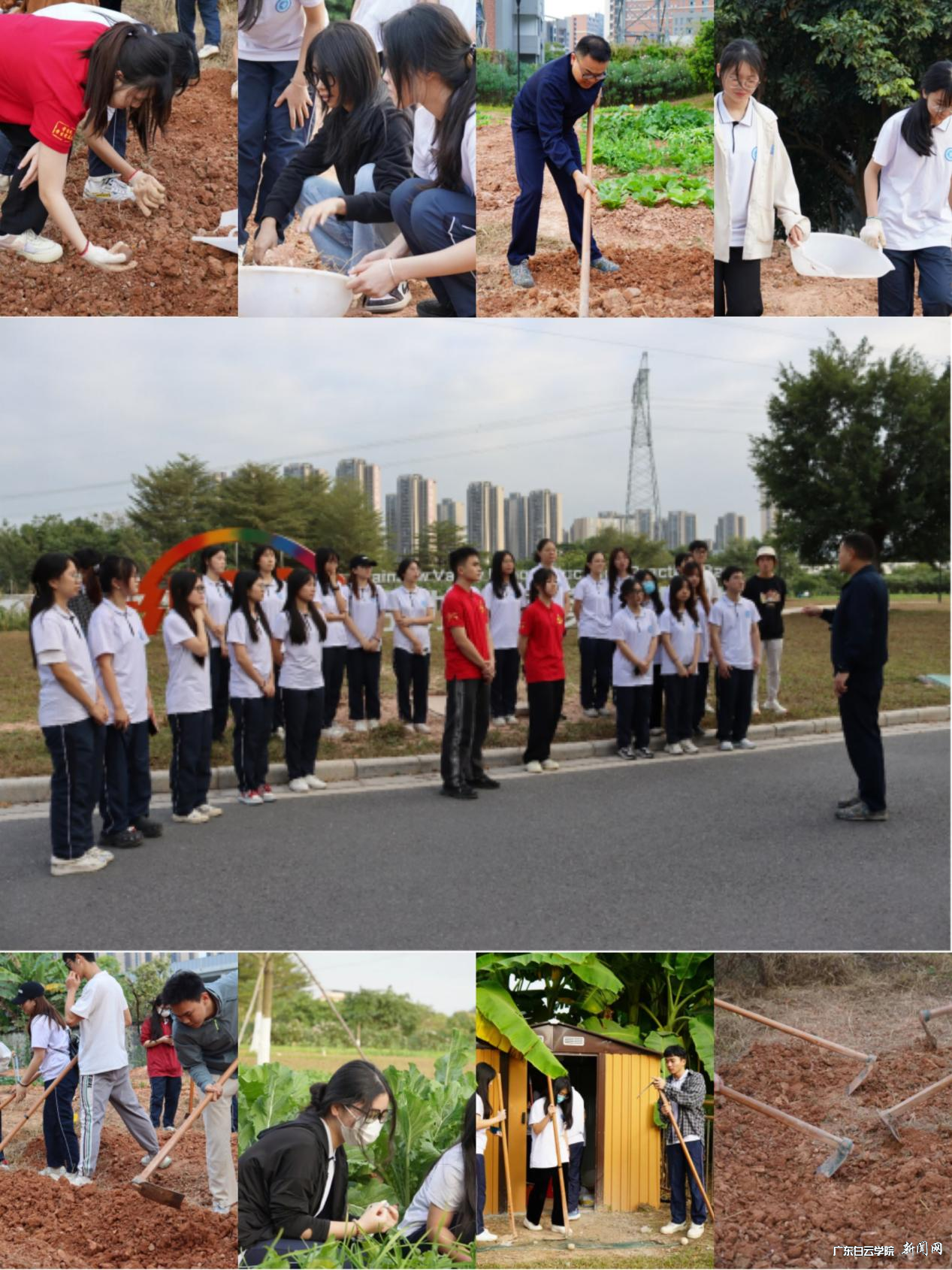 图片 5.png 图片 5.png