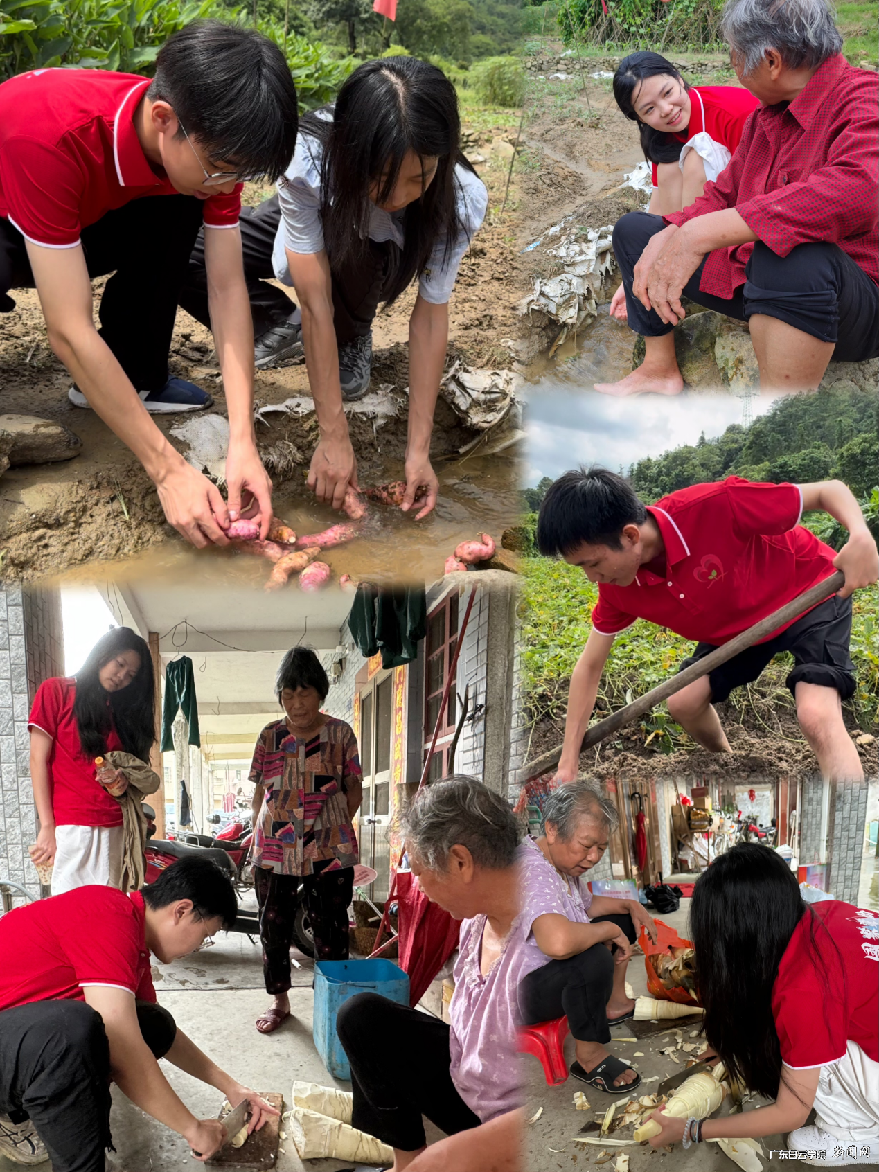 图片 9.png 图片 9.png