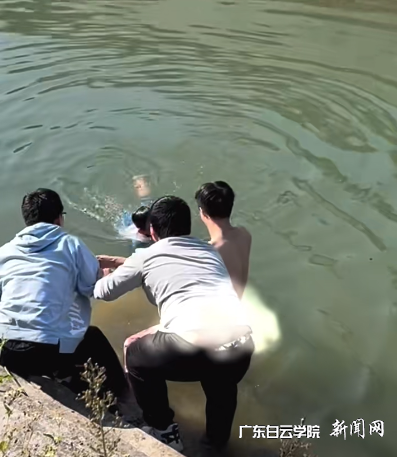 图片 2.png 图片 2.png