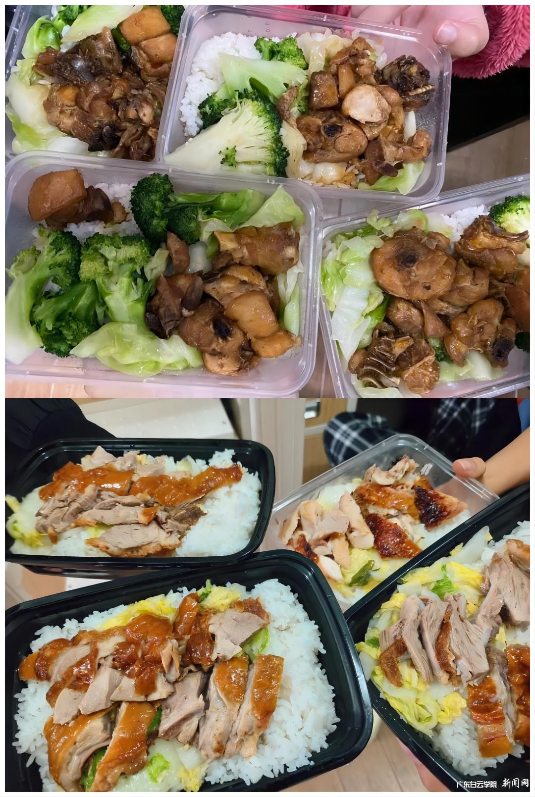 1WPS拼图0.png 1WPS拼图0.png