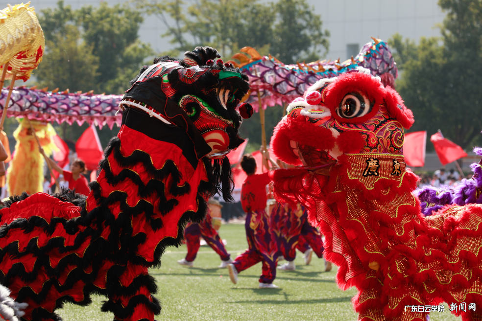 图片 14.png 图片 14.png